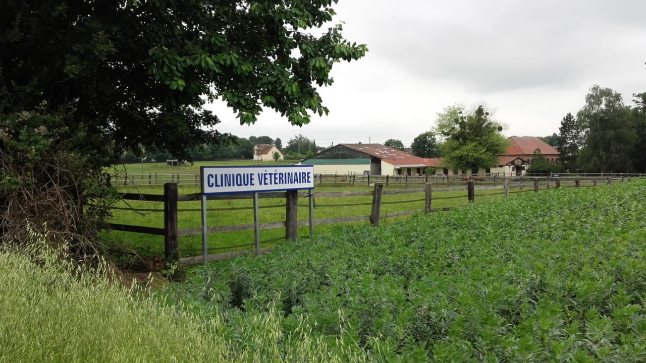 En pleine campagne...